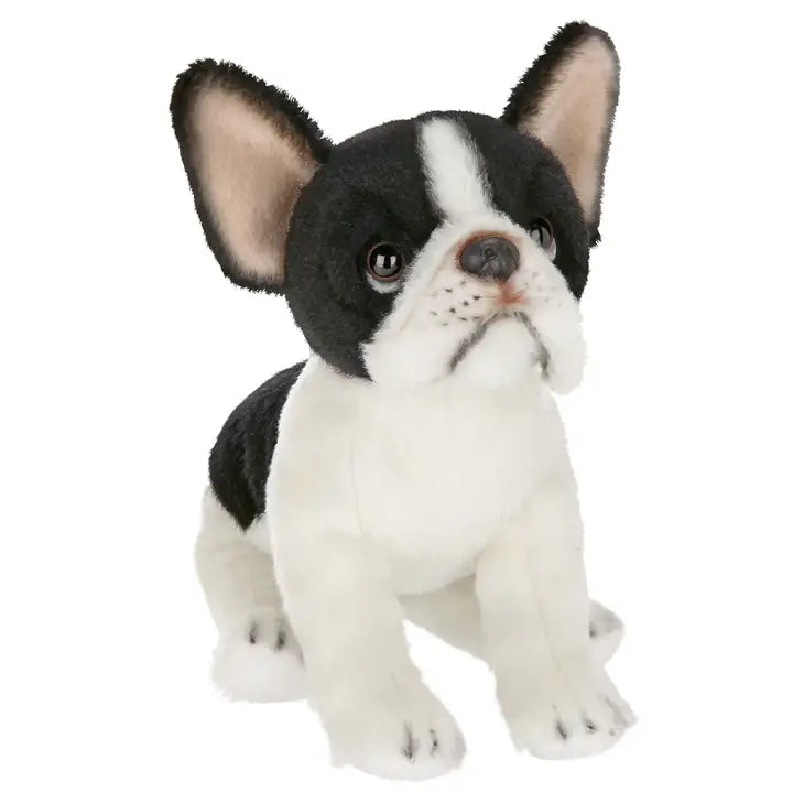 LIL' OLIVER THE FRENCH BULLDOG