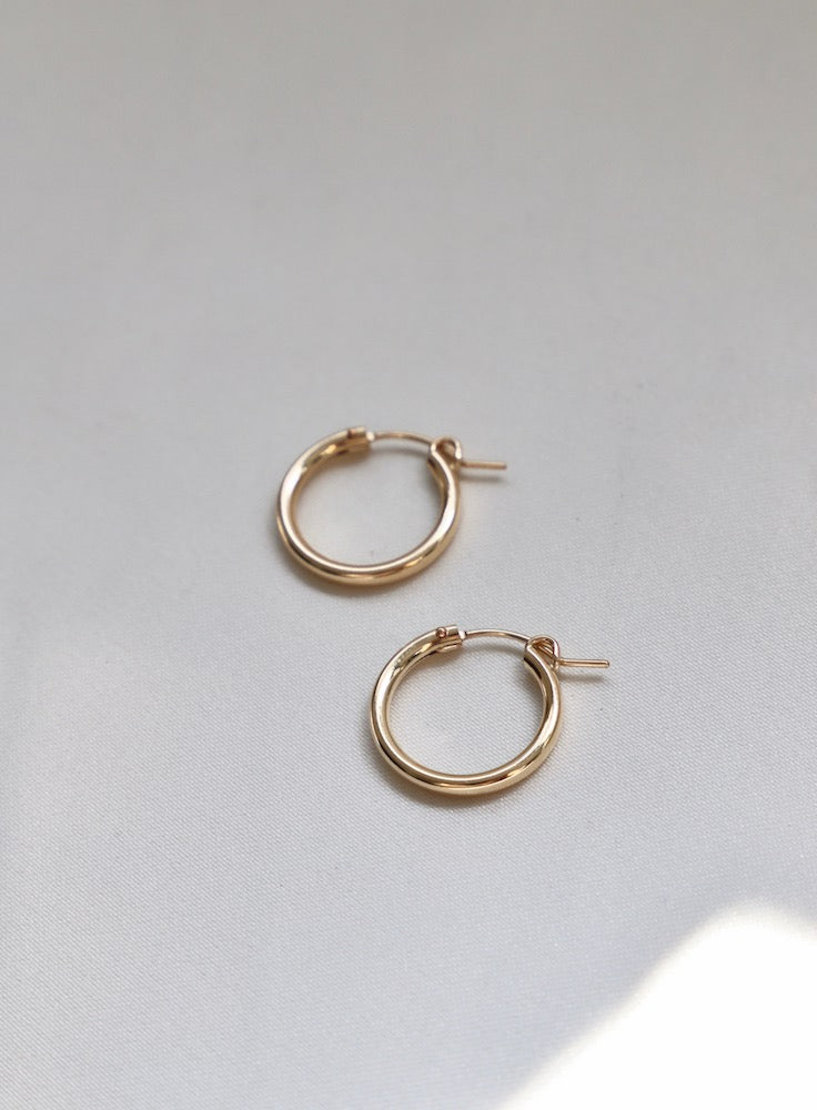 THE GOLD STANDARD HOOPS