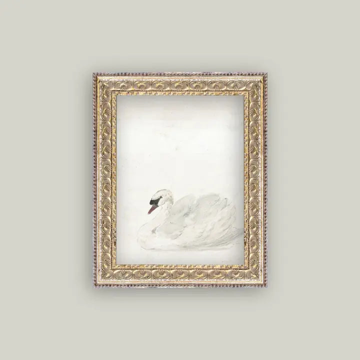 SWAN FRAMED ART