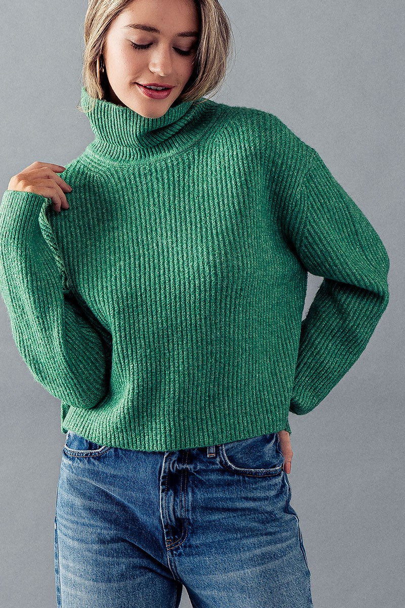 BLAIRE TURTLENECK