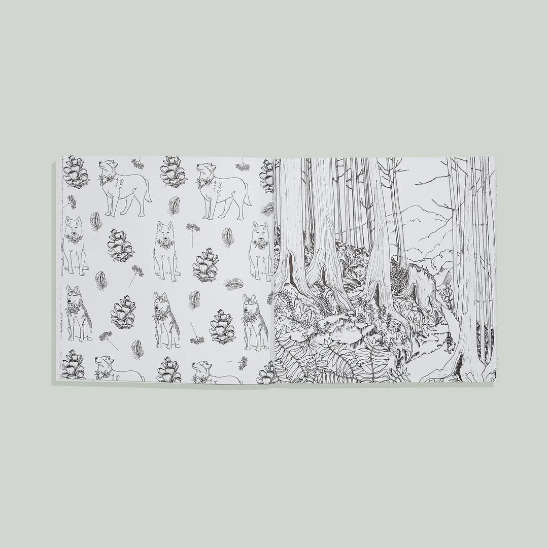 THE PLANT LADY: A FLORAL COLORING BOOK