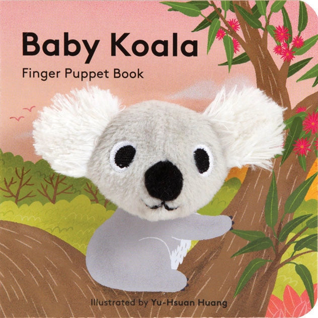BABY KOALA