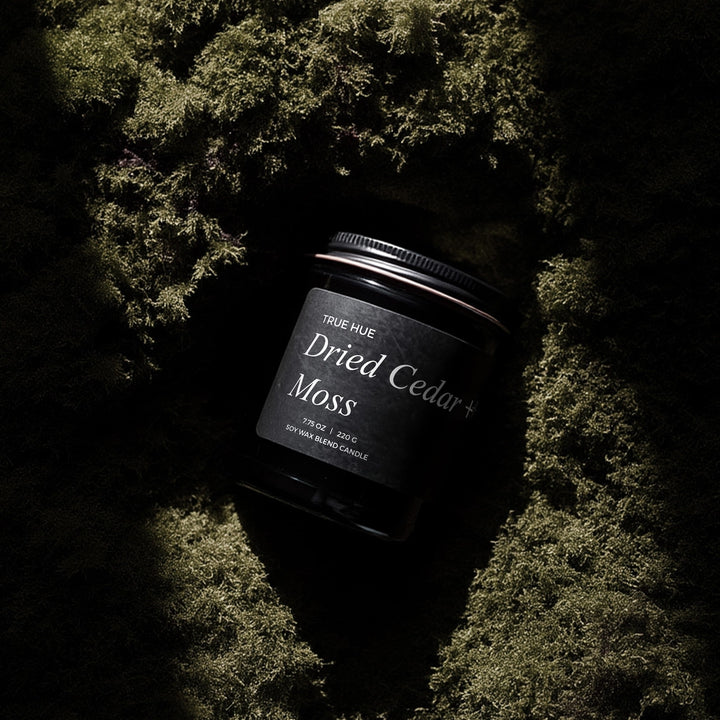 DRIED CEDAR + MOSS JAR CANDLE