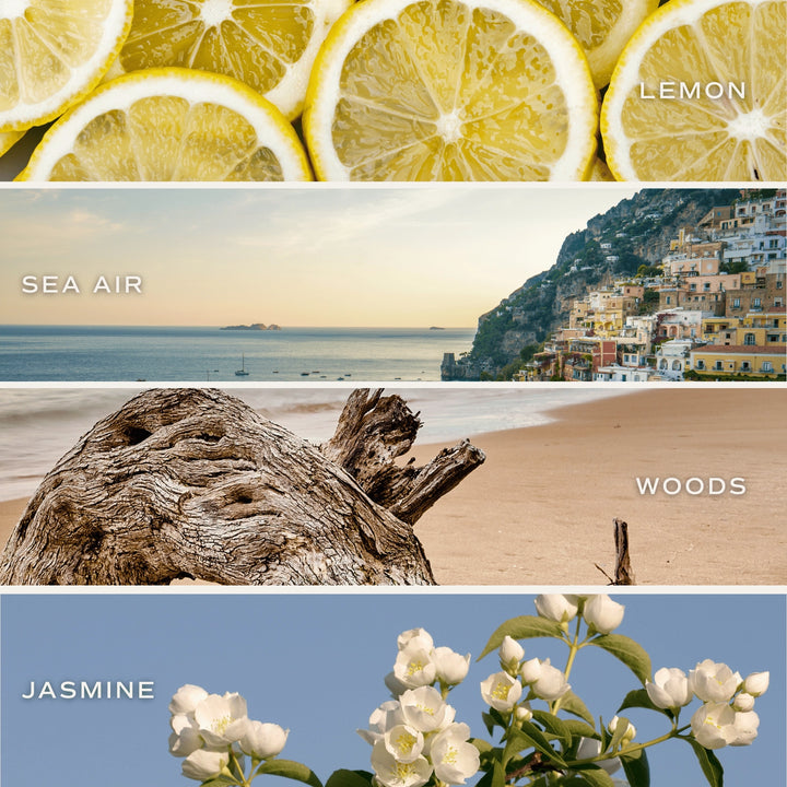 COASTAL LEMON 15OZ CANDLE