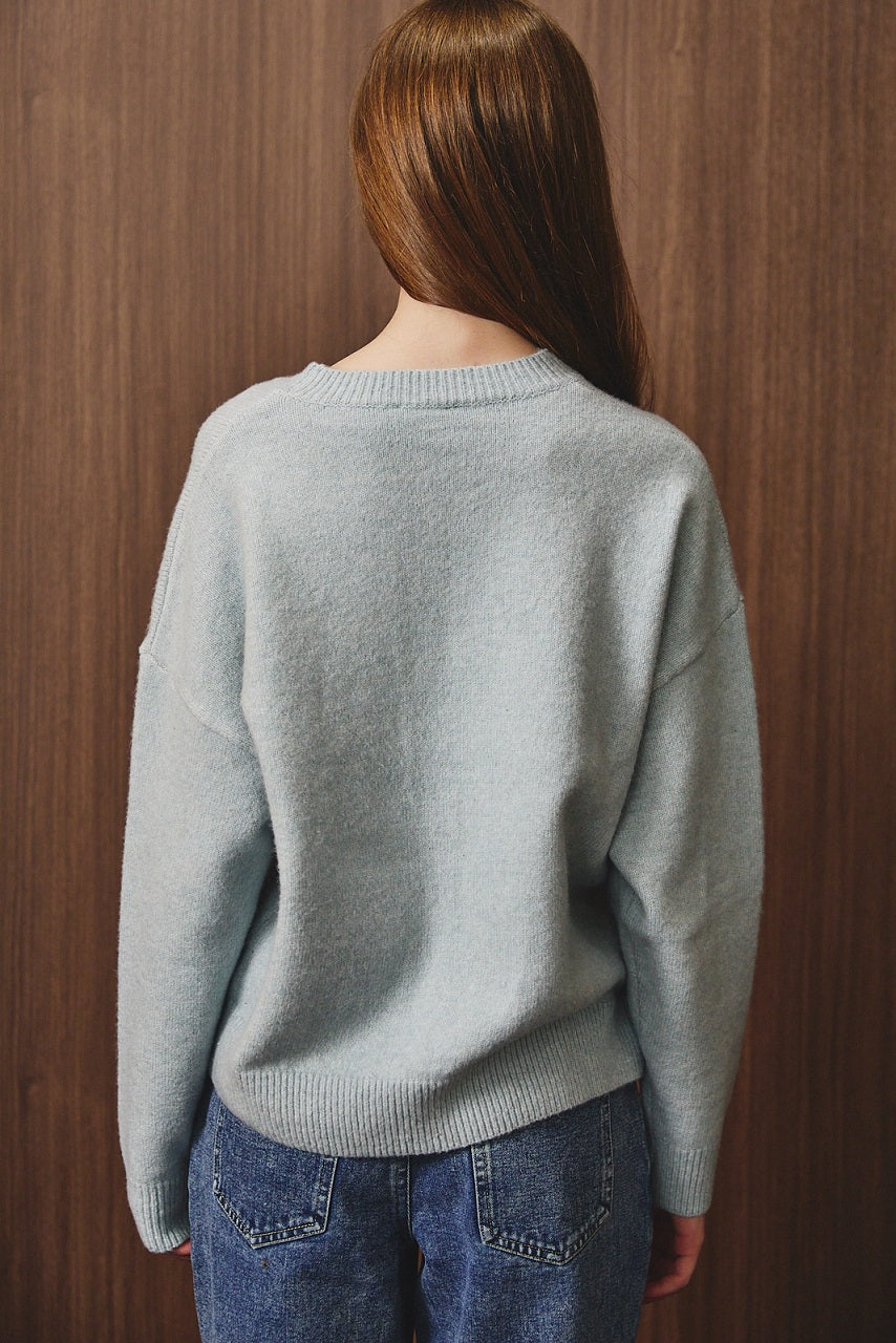 HORSE SWEATER