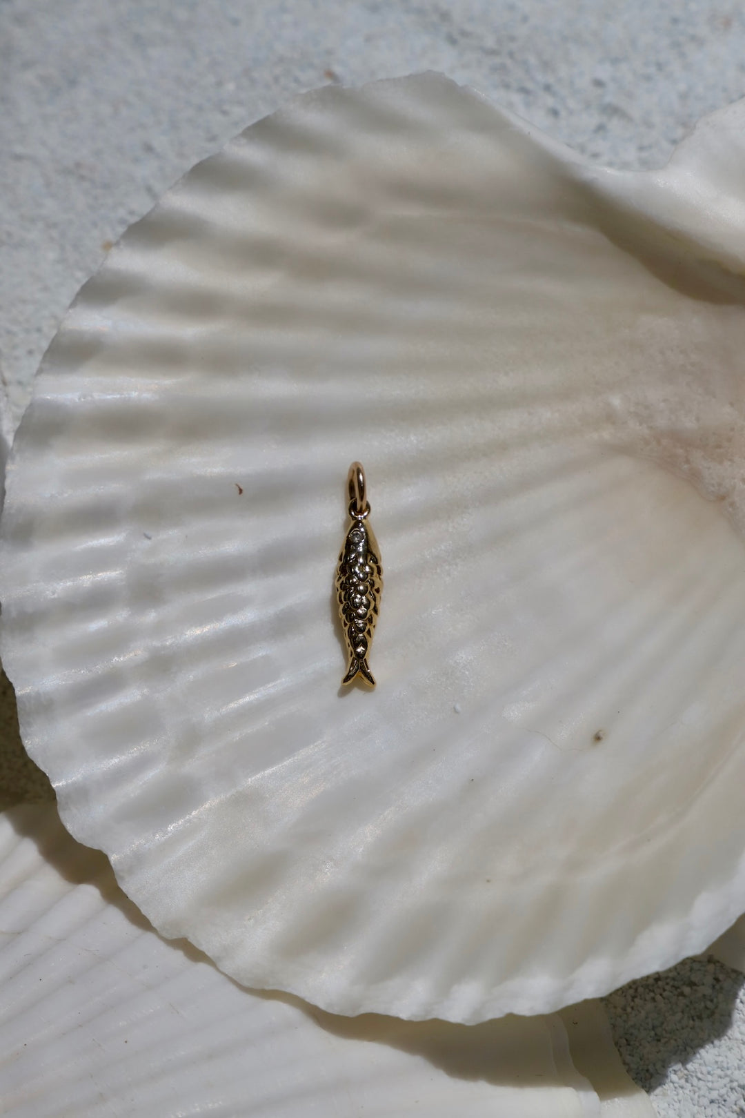 COVE FISH CHARM