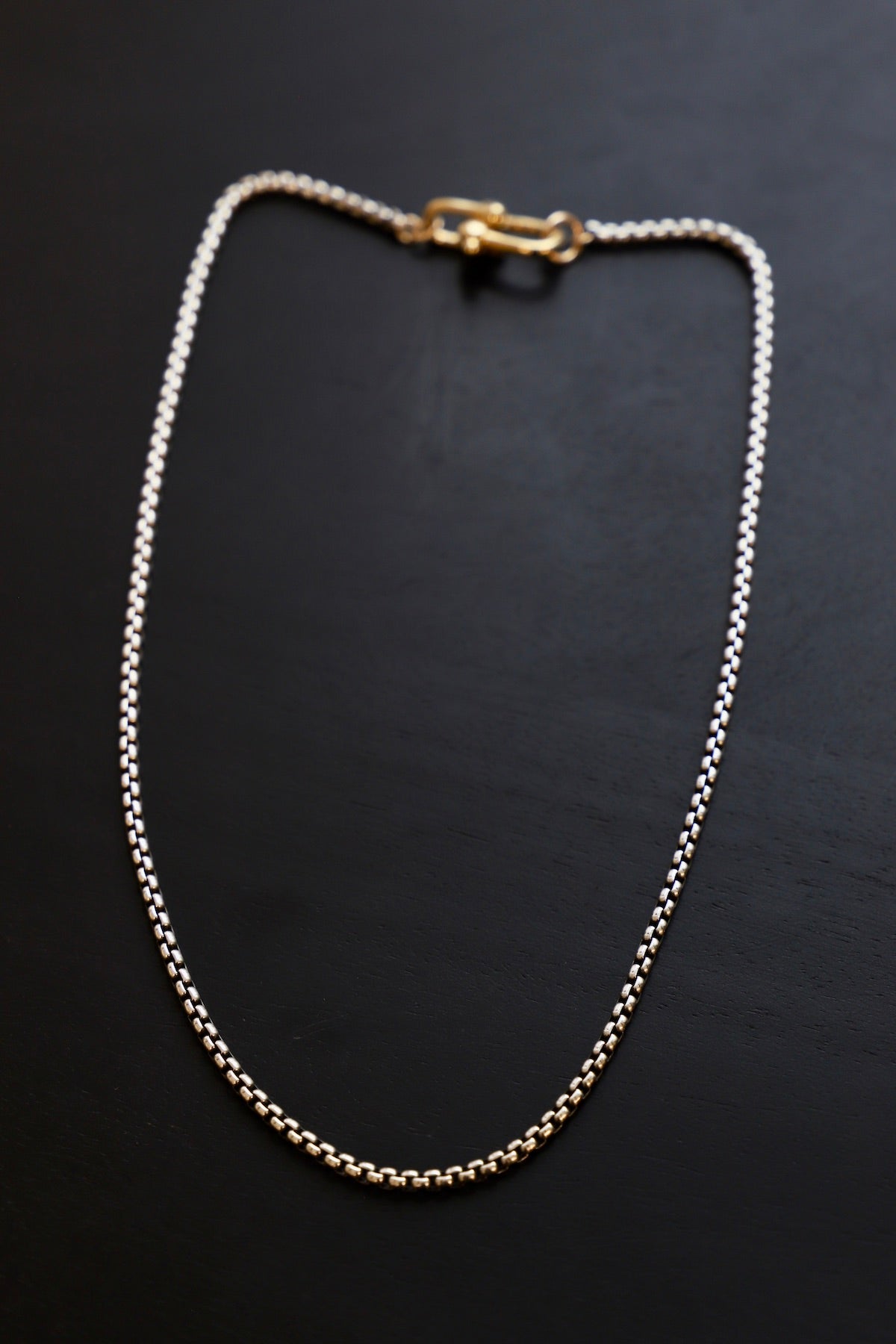 アクセサリー CTHY Chain Mantel Necklace CTHY Chain Mantel Necklace