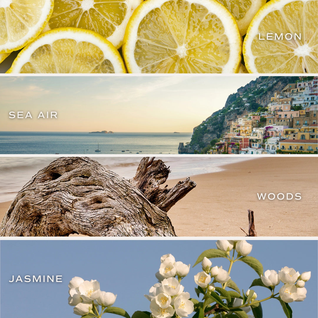 COASTAL LEMON 9 OZ CANDLE