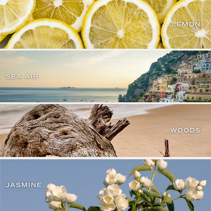 COASTAL LEMON 9 OZ CANDLE