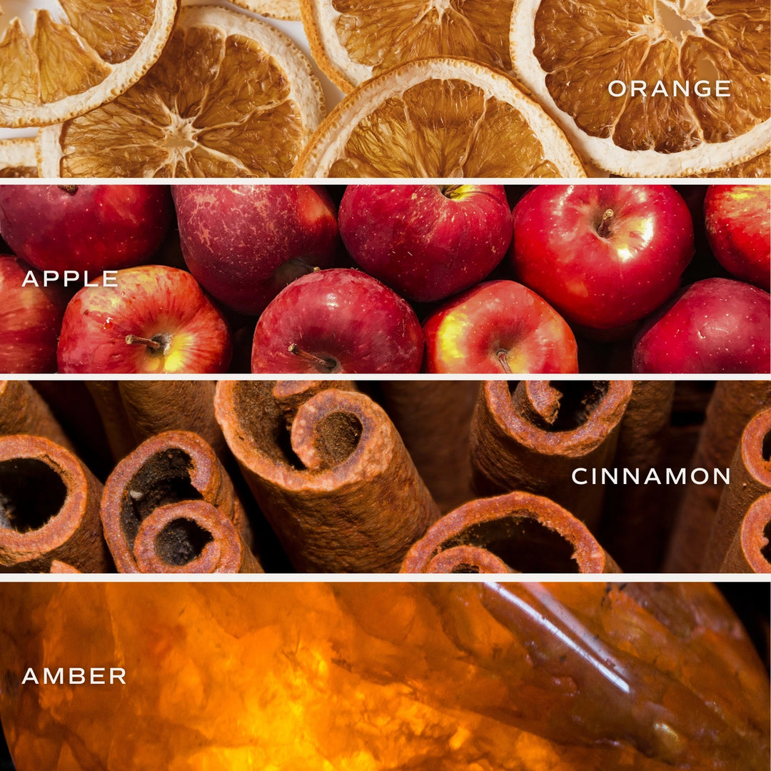MULLED CIDER 9 OZ CANDLE
