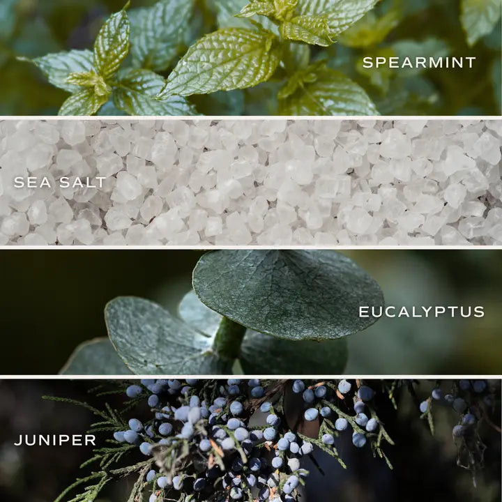 RESTORE & RENEW BATH BOMB