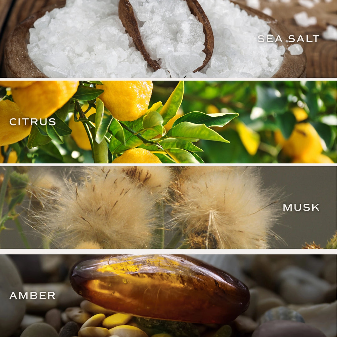 SALT AND SEA SCENT CARD