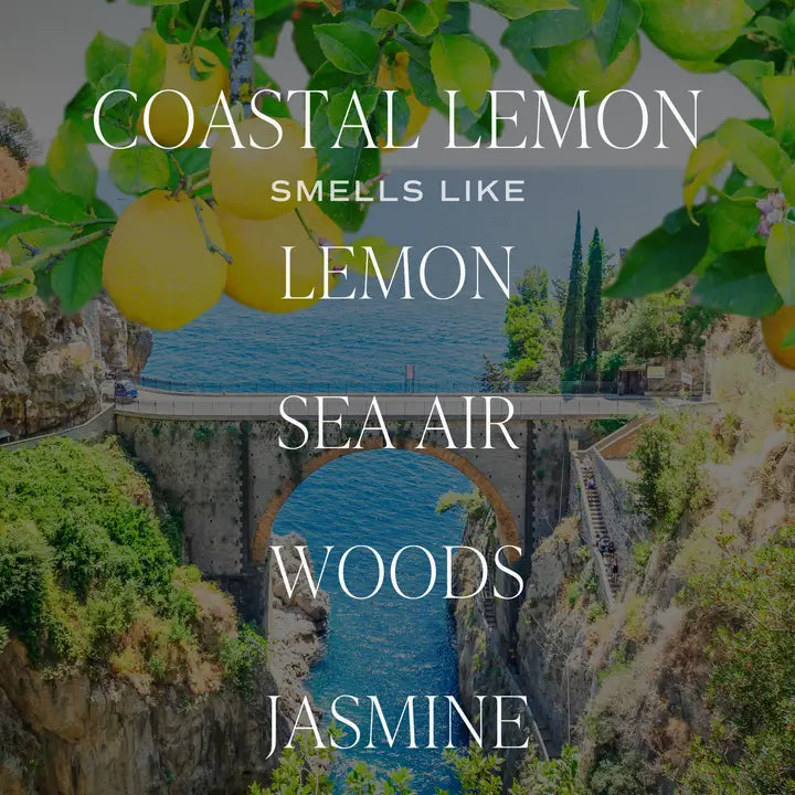 COASTAL LEMON 11OZ SOY CANDLE