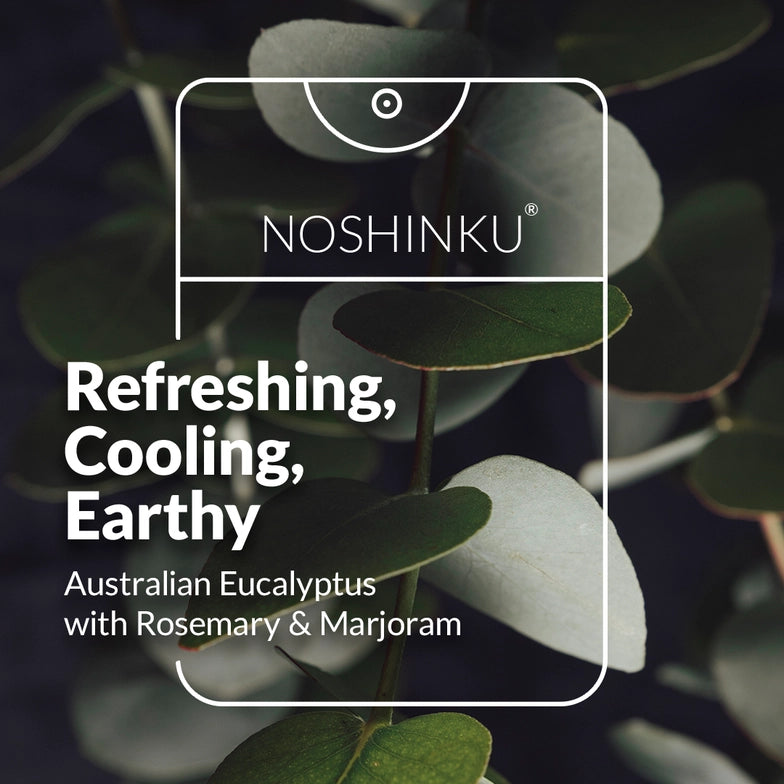 NOSHINKU HAND SANITIZER - EUCALYPTUS