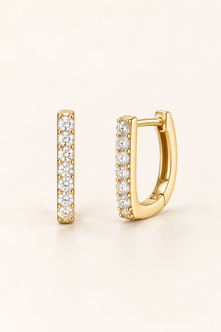 THE DELPHINE HOOPS
