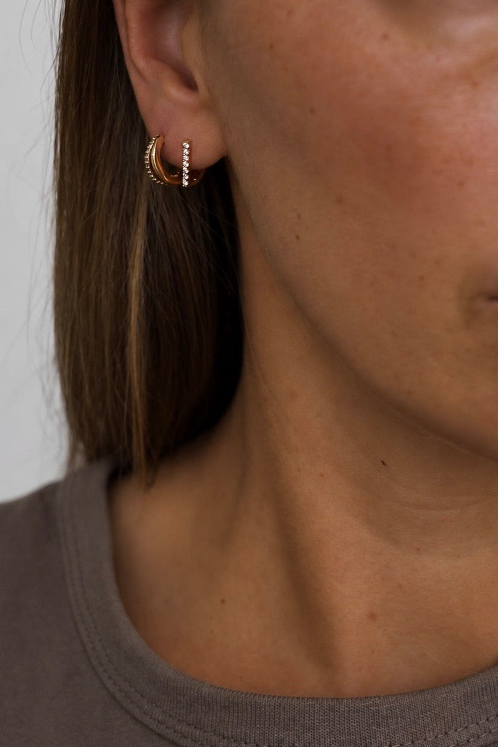 THE DELPHINE HOOPS