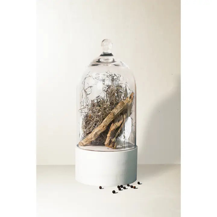 DRIED CEDAR + MOSS REED DIFFUSER