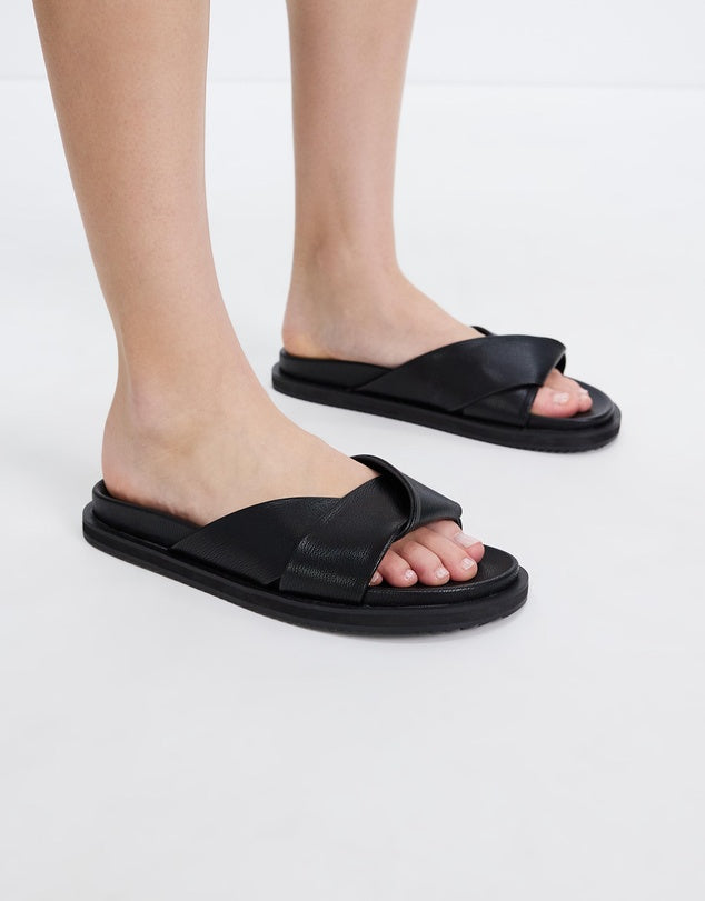 TALEN SLIDE