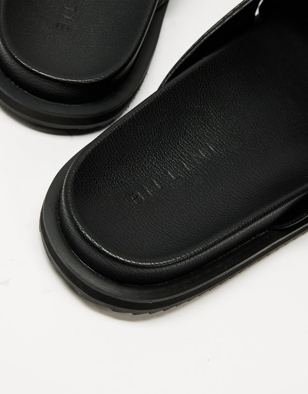 TALEN SLIDE