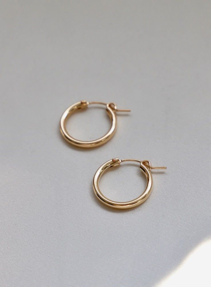 THE GOLD STANDARD HOOPS